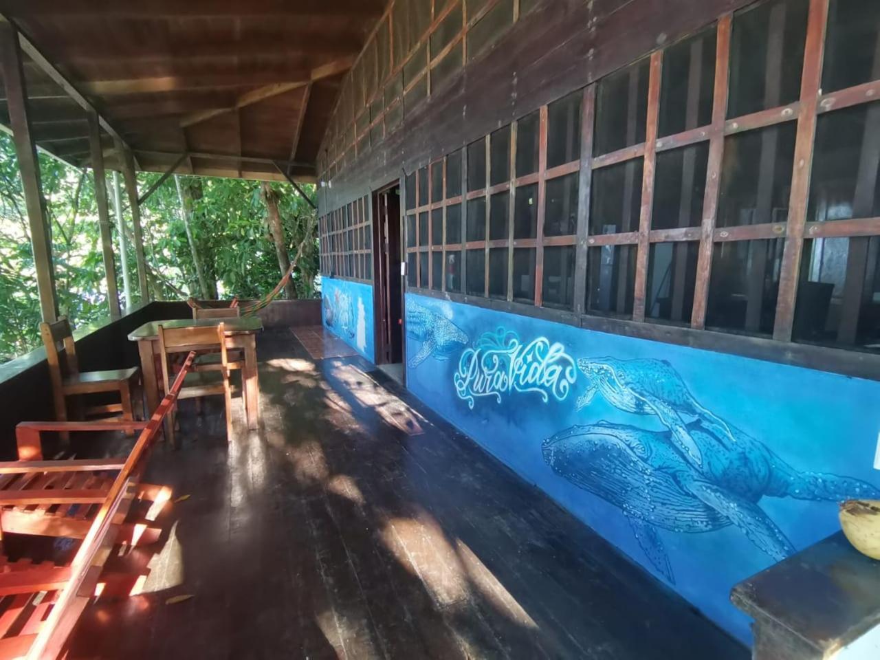Pirate Drake Beach Hostel & Tour Company Drakes Bay Buitenkant foto