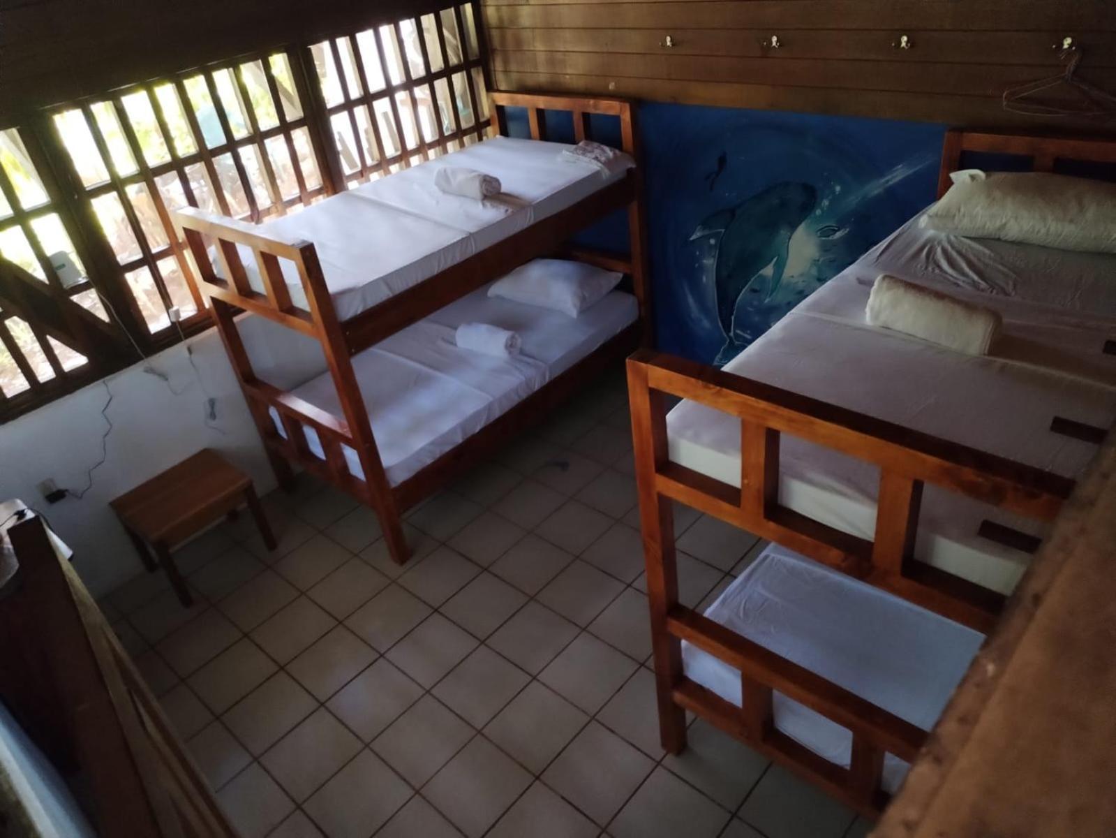 Pirate Drake Beach Hostel & Tour Company Drakes Bay Buitenkant foto